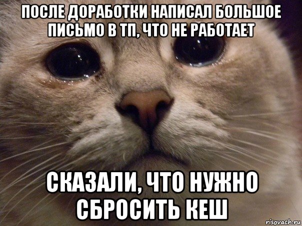 после доработки написал большое письмо в тп, что не работает сказали, что нужно сбросить кеш, Мем Плачущий кот