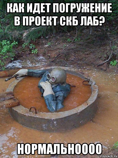 как идет погружение в проект скб лаб? нормальноооо, Мем Погружение