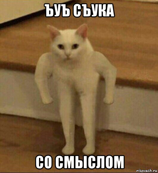 ъуъ съука со смыслом, Мем  Полукот