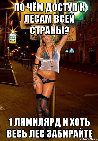 по чём доступ к лесам всей страны? 1 лямилярд и хоть весь лес забирайте, Мем Проститутка это такое существо к