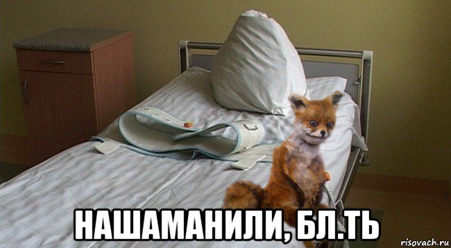  нашаманили, бл.ть