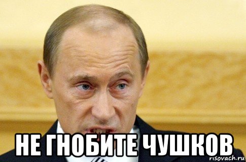  не гнобите чушков, Мем путин