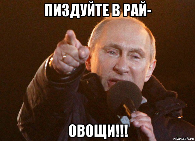 пиздуйте в рай- овощи!!!, Мем путин