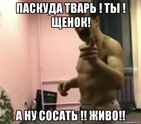 паскуда тварь ! ты ! щенок! а ну сосать !! живо!!