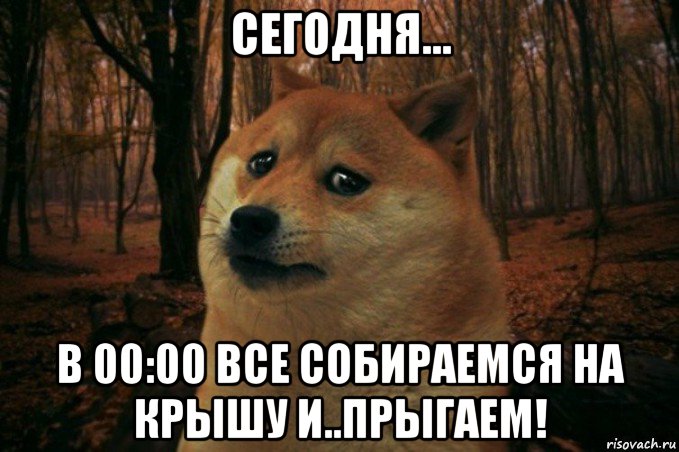 сегодня... в 00:00 все собираемся на крышу и..прыгаем!, Мем SAD DOGE