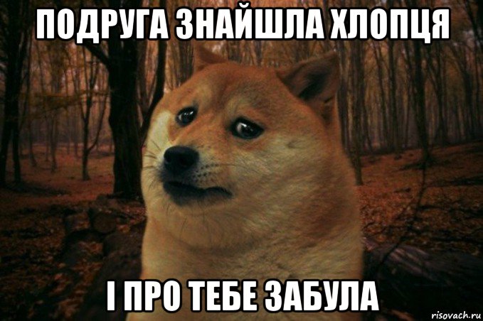 подруга знайшла хлопця і про тебе забула, Мем SAD DOGE