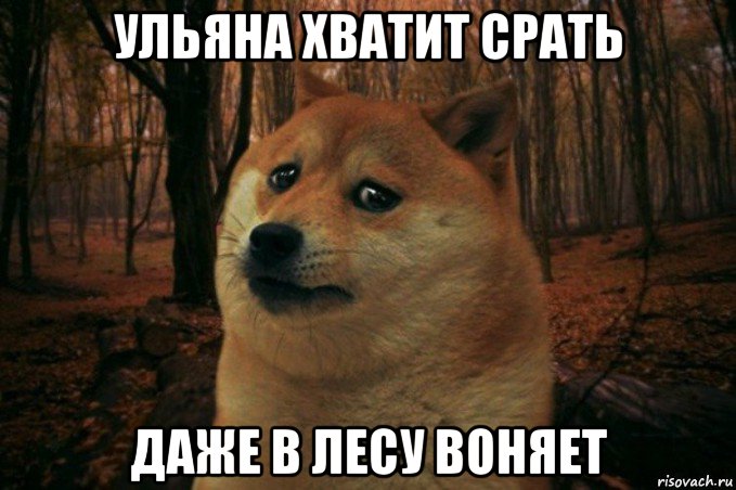 ульяна хватит срать даже в лесу воняет, Мем SAD DOGE