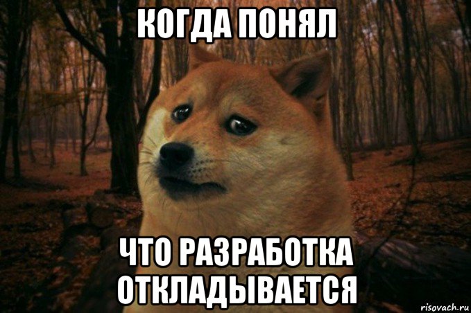 когда понял что разработка откладывается, Мем SAD DOGE