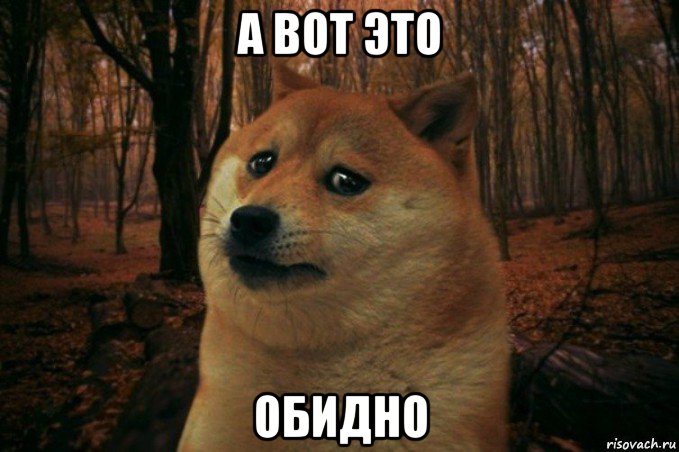 а вот это обидно, Мем SAD DOGE