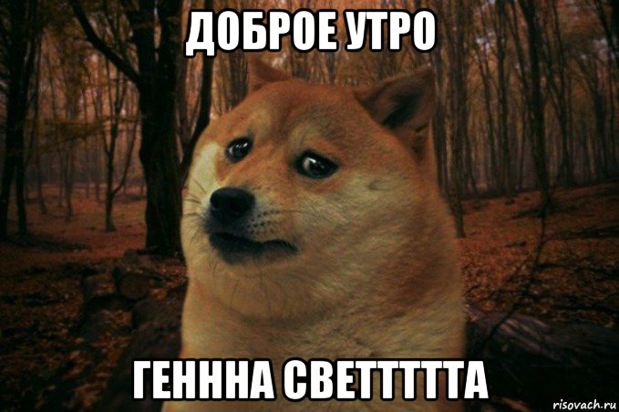 доброе утро геннна светтттта, Мем SAD DOGE