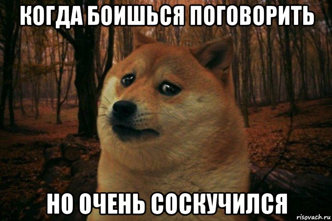 когда боишься поговорить но очень соскучился, Мем SAD DOGE