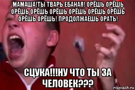 мамаша!ты тварь ебаная! орёшь орёшь орёшь орёшь орёшь орёшь орёшь орёшь орёшь орёшь! продолжаешь орать! сцука!!!ну что ты за человек???, Мем  Сашко Фокин орет