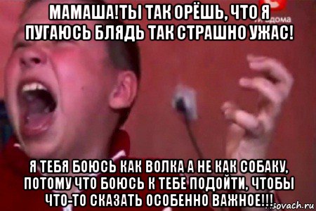 мамаша!ты так орёшь, что я пугаюсь блядь так страшно ужас! я тебя боюсь как волка а не как собаку, потому что боюсь к тебе подойти, чтобы что-то сказать особенно важное!!!, Мем  Сашко Фокин орет