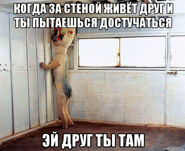 когда за стеной живёт друг и ты пытаешься достучаться эй друг ты там