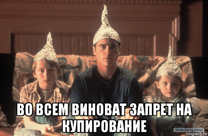  во всем виноват запрет на купирование, Мем Семья дети шапка шапочка из фольги