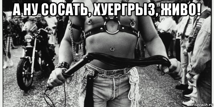 а ну сосать, хуергрыз, живо! 