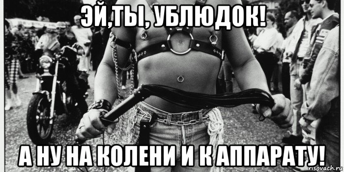 эй,ты, ублюдок! а ну на колени и к аппарату!