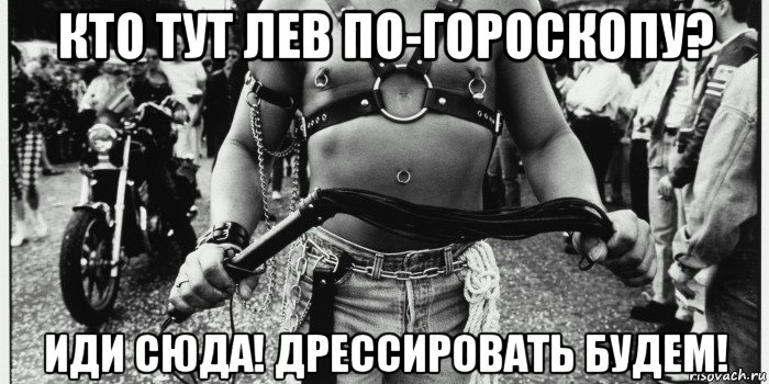 кто тут лев по-гороскопу? иди сюда! дрессировать будем!