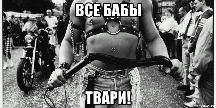 все бабы твари!