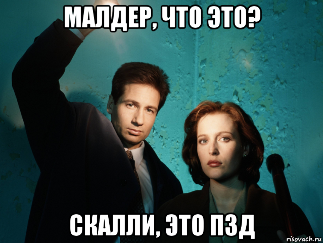 малдер, что это? скалли, это пзд