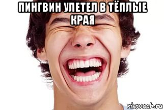 пингвин улетел в тёплые края 