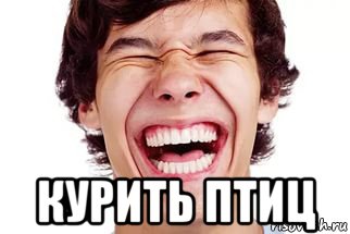  курить птиц