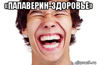 «папаверин-здоровье» 