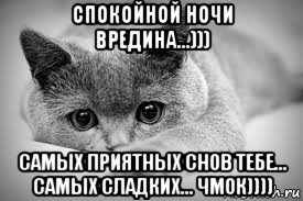 спокойной ночи вредина...))) самых приятных снов тебе... самых сладких... чмок))))