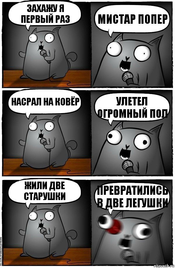 Захажу я первый раз Мистар попер Насрал на ковёр Улетел огромный пол Жили две старушки Превратились в две легушки, Комикс  Стендап-кот