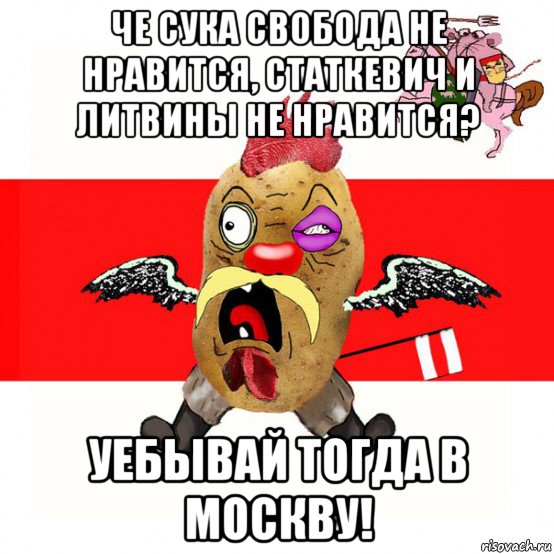 че сука свобода не нравится, статкевич и литвины не нравится? уебывай тогда в москву!, Мем свядомы эмагар в ярости