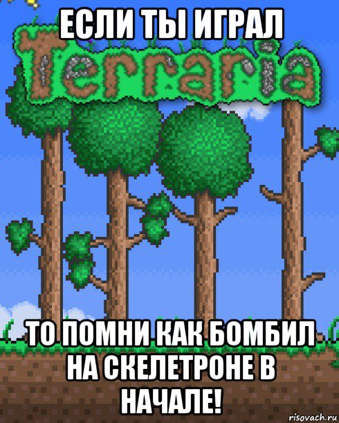 если ты играл то помни как бомбил на скелетроне в начале!