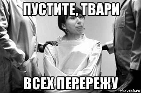 пустите, твари всех перережу, Мем Тетяна Чорновіл