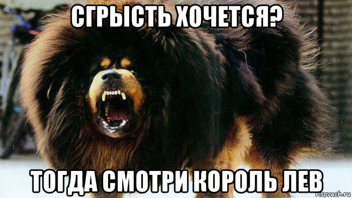 сгрысть хочется? тогда смотри король лев