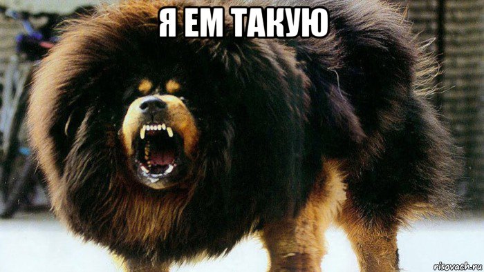 я ем такую 