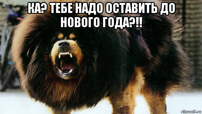 ка? тебе надо оставить до нового года?!! 