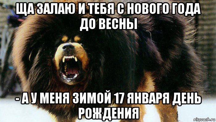 ща залаю и тебя с нового года до весны - а у меня зимой 17 января день рождения