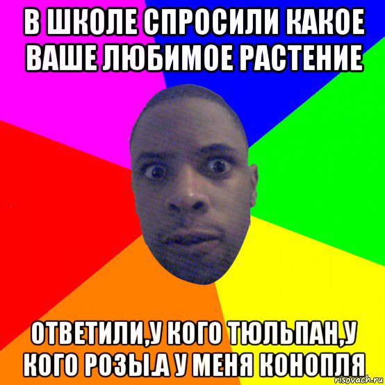 в школе спросили какое ваше любимое растение ответили,у кого тюльпан,у кого розы.а у меня конопля