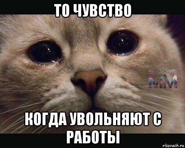 то чувство когда увольняют с работы