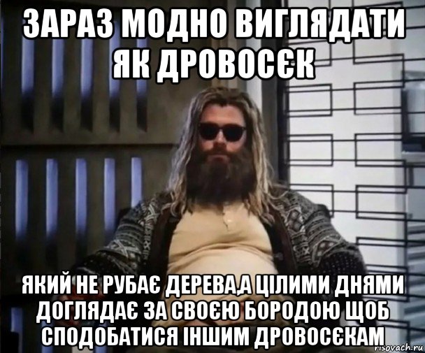 зараз модно виглядати як дровосєк який не рубає дерева,а цілими днями доглядає за своєю бородою щоб сподобатися іншим дровосєкам, Мем Толстый Тор