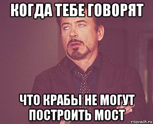 когда тебе говорят что крабы не могут построить мост, Мем твое выражение лица