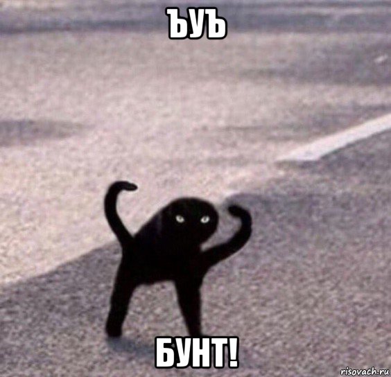 ъуъ бунт!, Мем Ухх сука