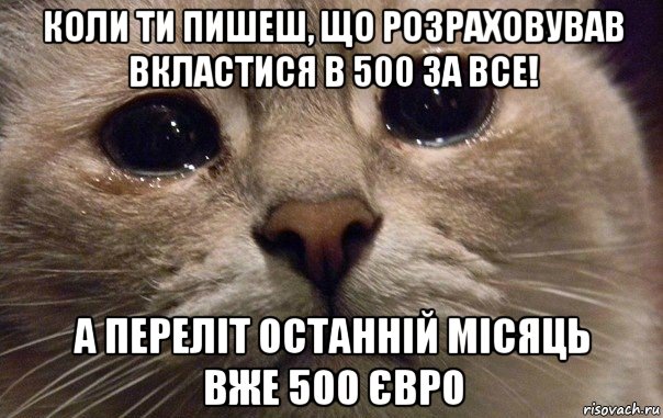 коли ти пишеш, що розраховував вкластися в 500 за все! а переліт останній місяць вже 500 євро, Мем   В мире грустит один котик