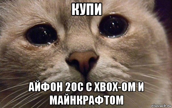 купи айфон 20с с xbox-ом и майнкрафтом, Мем   В мире грустит один котик