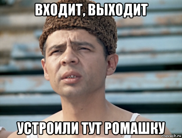 входит, выходит устроили тут ромашку, Мем Василий алибабаевич