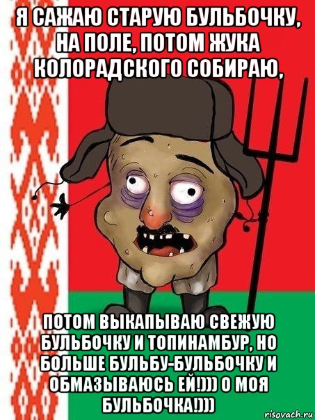 я сажаю старую бульбочку, на поле, потом жука колорадского собираю, потом выкапываю свежую бульбочку и топинамбур, но больше бульбу-бульбочку и обмазываюсь ей!))) о моя бульбочка!))), Мем Ватник белорусский