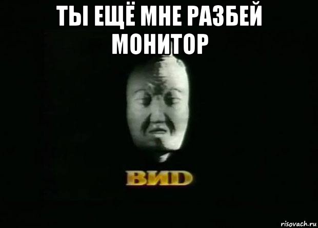 ты ещё мне разбей монитор , Мем Виd