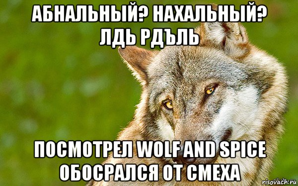 абнальный? нахальный? лдь рдъль посмотрел wolf and spice обосрался от смеха, Мем   Volf