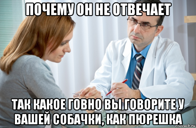 почему он не отвечает так какое говно вы говорите у вашей собачки, как пюрешка