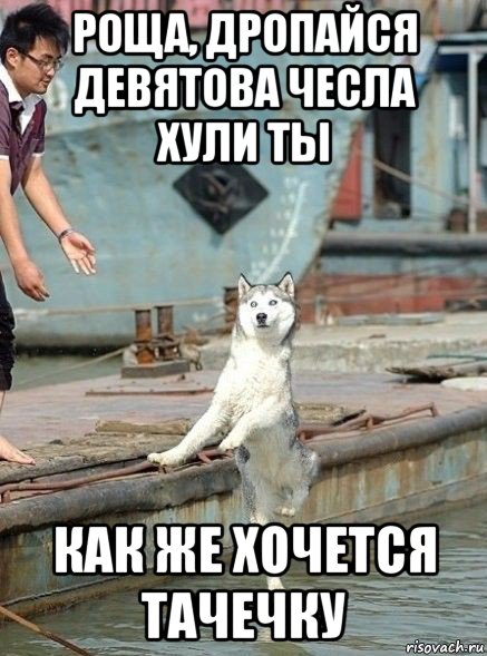 роща, дропайся девятова чесла хули ты как же хочется тачечку