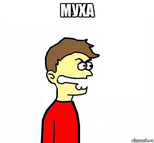 муха 